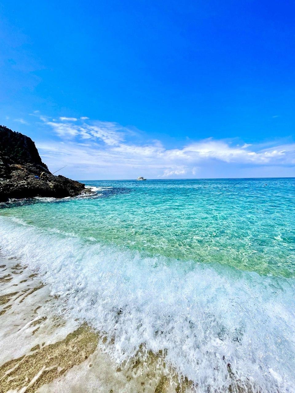 Курс категории